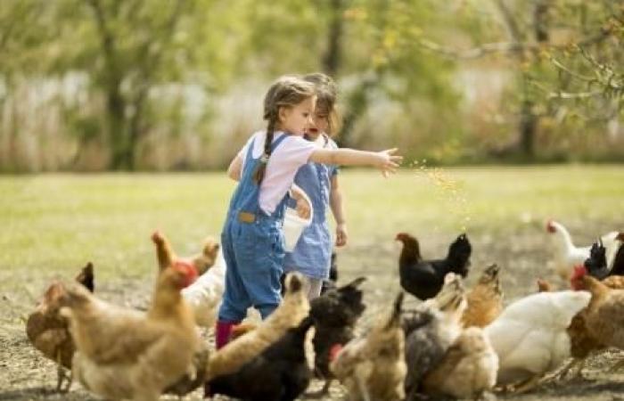 Would growing up on a farm protect children from allergies?