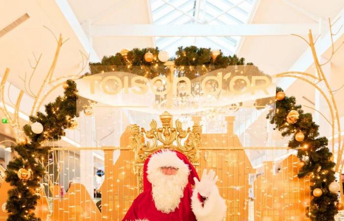 DIJON: The Toison d’or shopping center offers “a magical and supportive Christmas”