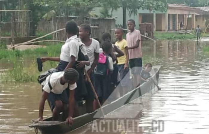 Tshopo: Several schools threatened by flooding in Isangi territory following the overflow of water from the Congo River