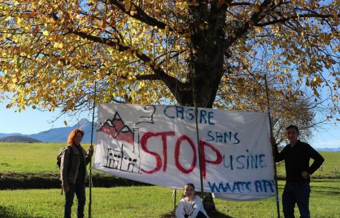 “Absolute nonsense”: in the south of Haute-Garonne, residents oppose the installation of a factory at the foot of the Pyrenees