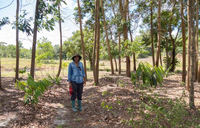 traditional practices to the aid of agriculture