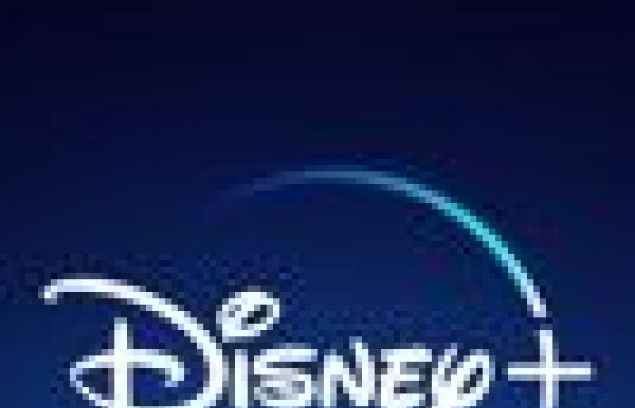 Orange withdraws Disney channels from January 1, 2025