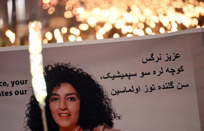 The alarming release of Iranian Narges Mohammadi, Nobel Peace Prize winner