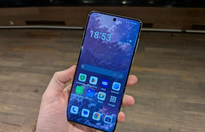 is Oppo’s return to France successful?