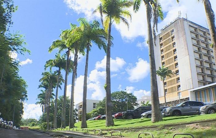 Guadeloupe University Hospital: a patient on a drip