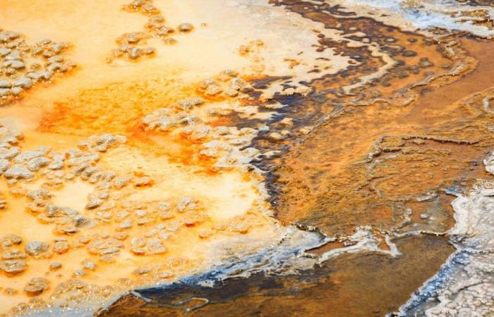 Scientific study suggests hot springs could be responsible for the emergence of life on Earth