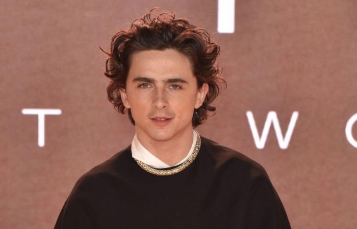 Timothée Chalamet offered to pay the fine imposed on the organizer of a lookalike competition