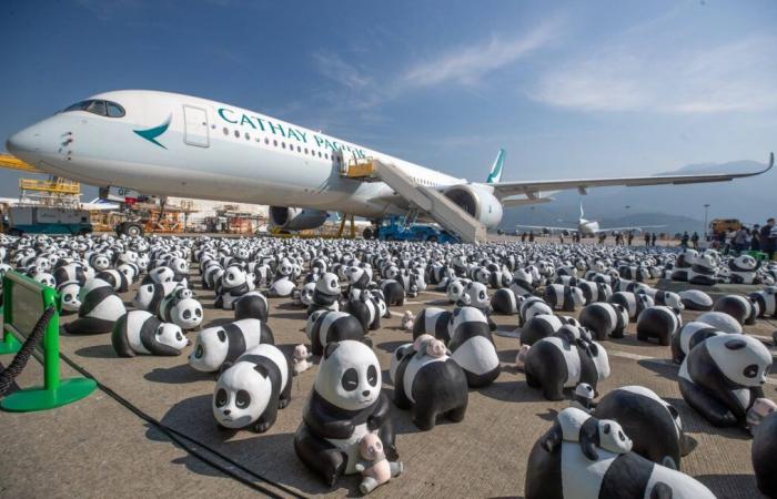 Hong Kong to display 2,500 panda sculptures in its streets to boost the local economy