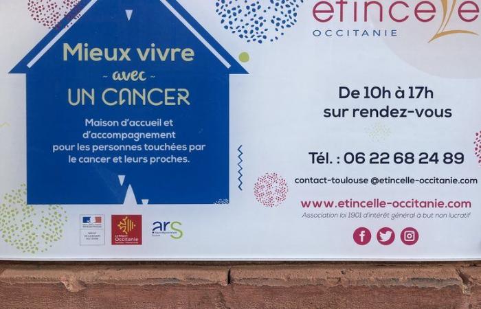 In Toulouse, a play performed for the benefit of cancer patients