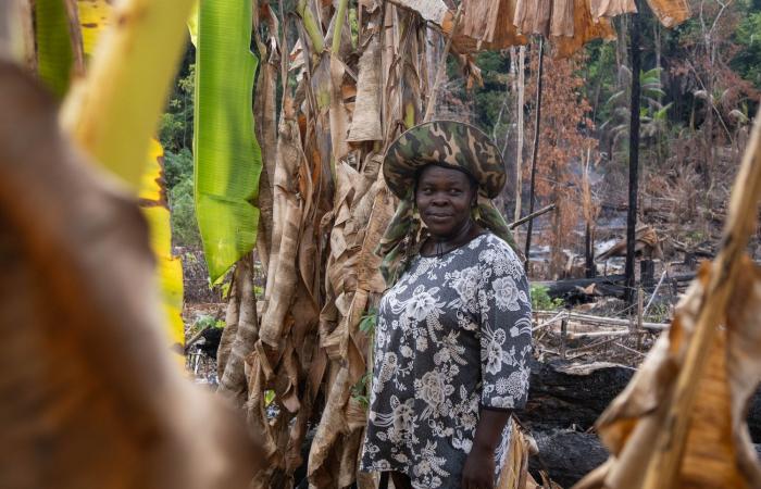 traditional practices to the aid of agriculture