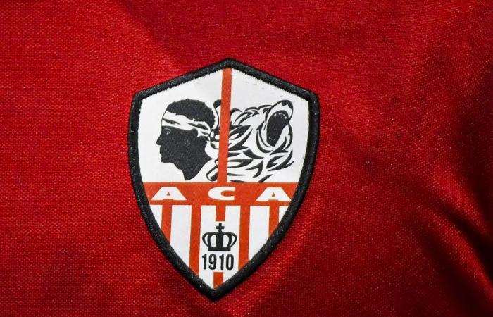 Ligue 2 – AC Ajaccio will soon be sold to a new owner!