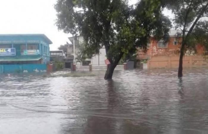 Isangi: severe flooding causes paralysis of activities