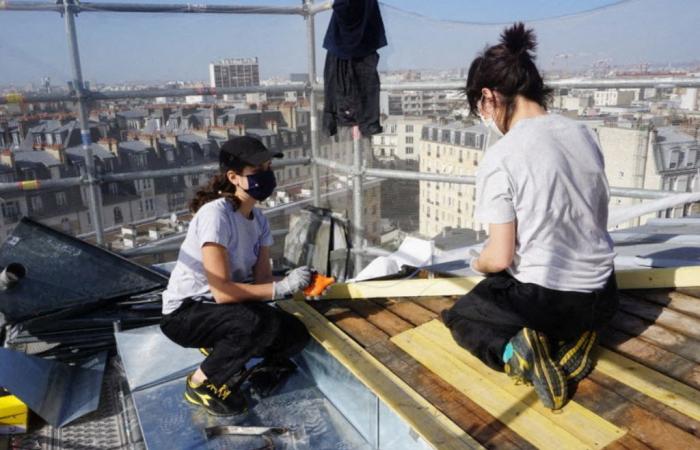 The know-how of the roofers and zinc roofers of Paris listed as a UNESCO heritage site