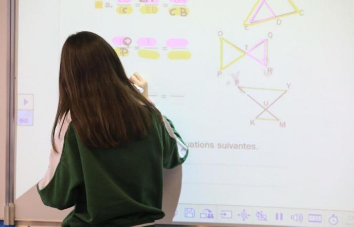 Students' level of math: France still at the back of the pack