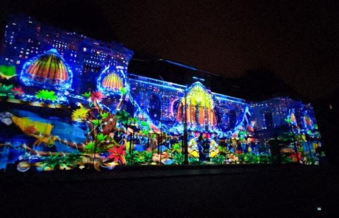 this little-known castle will be illuminated for the first time during the Christmas holidays