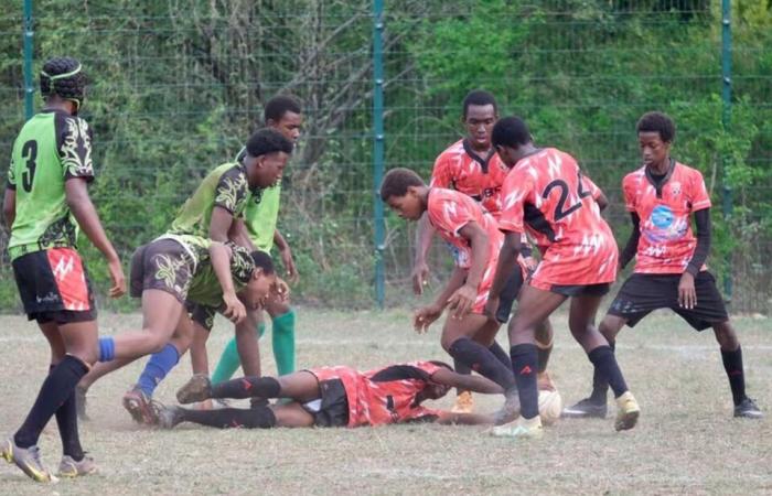 They want to introduce rugby in mainland France to young people from Mayotte: they are calling for help