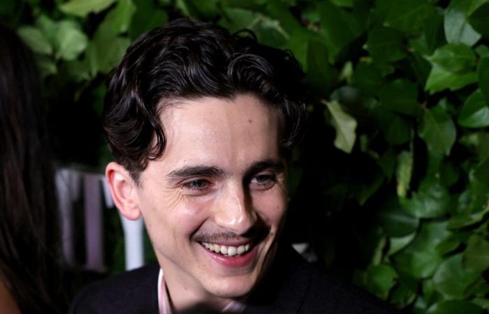 Timothée Chalamet offers to pay the $500 fine received by the organizer of his lookalike competition