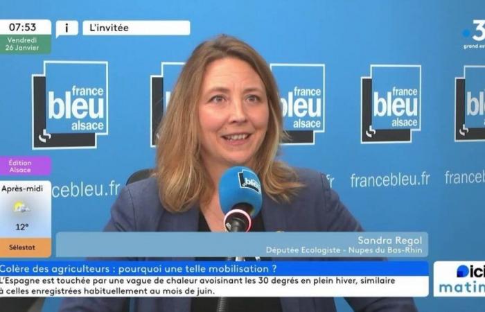 Will the government resist the motion of censure? Sandra Regol, Ecologist MP for Bas-Rhin