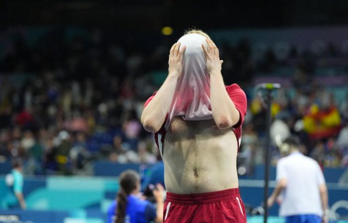 Table Tennis Worlds | The colossal tile of the French team