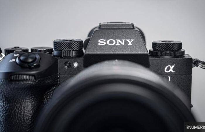 Alpha A1 II review: Sony's hybrid flagship gets its upgrade