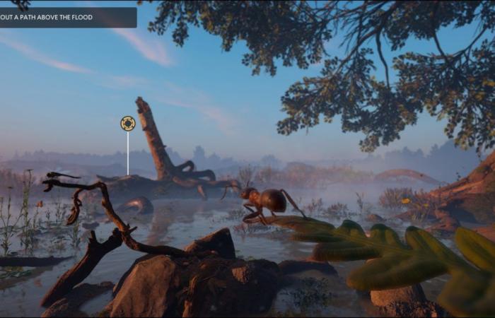 JVMag – TEST – Les Fourmis (Empire of the Ants), an RTS Microcosmos