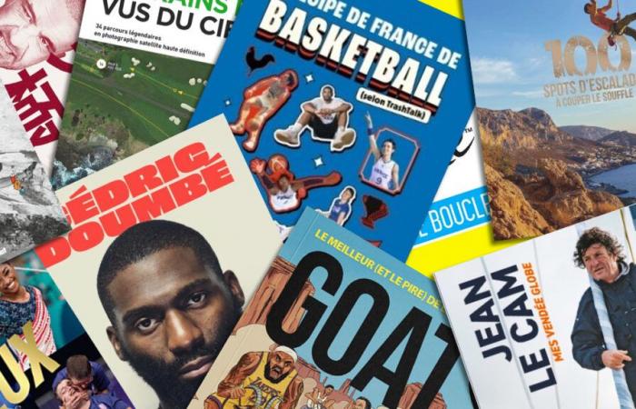 beautiful books to offer to sports fans