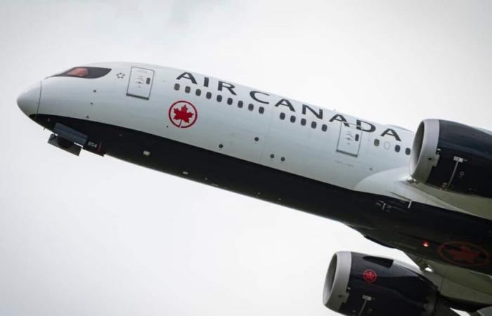 Additional charges from Air Canada: Ottawa will summon airline executives