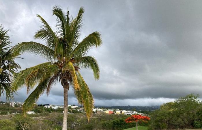 Rain of local talents for the doubles meeting in Reunion, despite the drought at Bassin Bleu