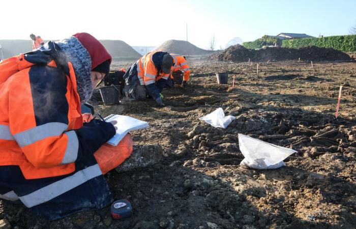 a huge medieval cemetery unearthed in Bourg-Charente