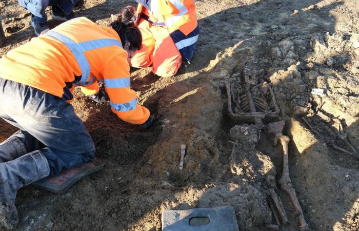 a huge medieval cemetery unearthed in Bourg-Charente