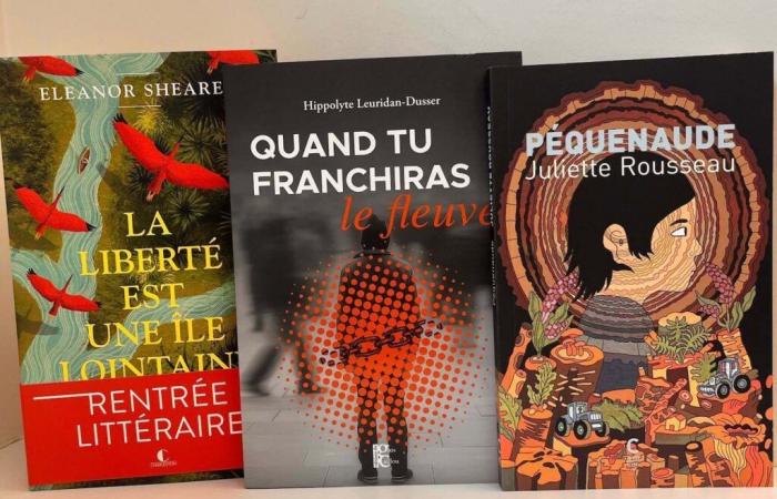 Grand Prix des Lectrices 2025: the new books in the selection (3/8)