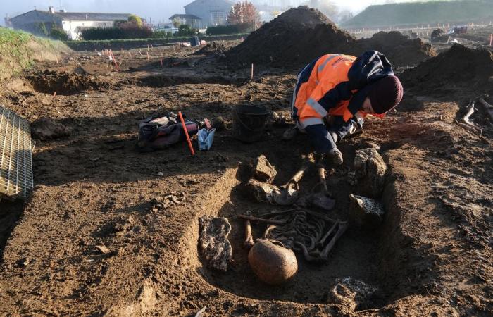 a huge medieval cemetery unearthed in Bourg-Charente