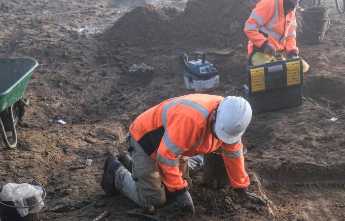 a huge medieval cemetery unearthed in Bourg-Charente