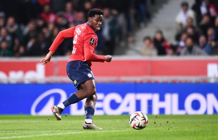 Lille Brest prediction: Analysis, odds and prediction of the Ligue 1 match – sports betting