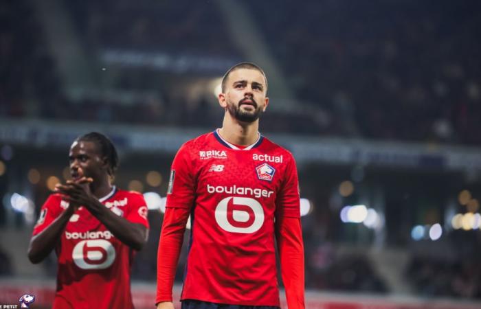 Ligue 1 – D14: Six absent in Lille, but Edon Zhegrova is back for LOSC – Stade Brestois