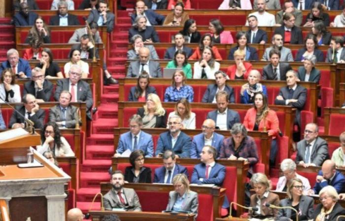 MP Stéphane Vojetta proposes a self-dissolution of the National Assembly on January 1: News