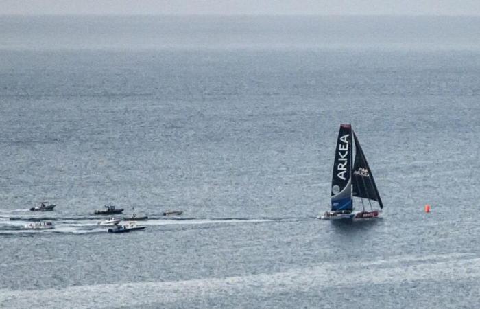 the Transat Jacques-Vabre changes its name and joins forces with Café-L’Or