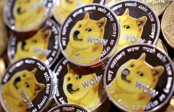 Dogecoin, the crypto joke worth $66 billion