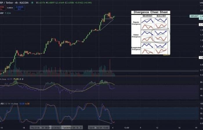 Analyst warns XRP’s gains are ‘not natural,’ labels it ‘pump and dump’