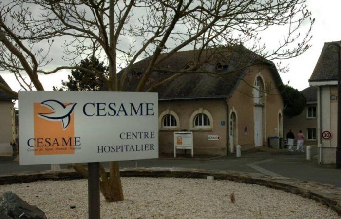 Uncontrollable, a patient attacks health professionals in Maine-et-Loire