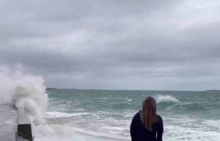 Faced with the wind and the risk of storms, the City of Saint-Malo is taking measures