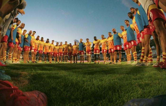 USAP makes a huge turnover: 17 players deprived of a match against the Cheetahs!