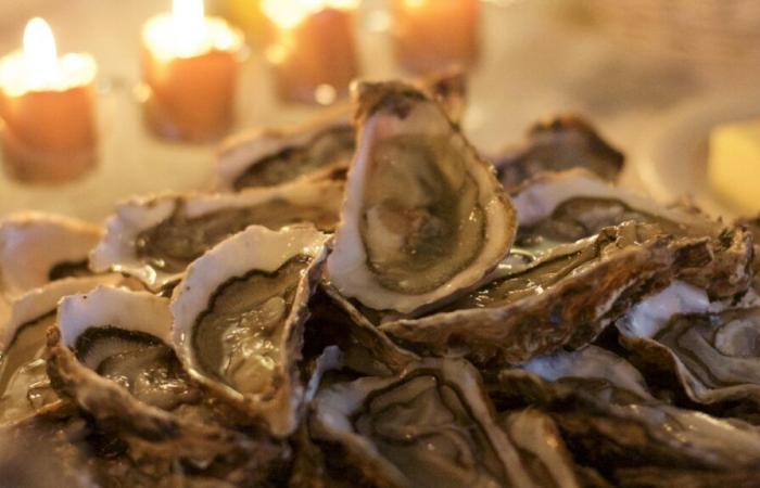 December, a crucial month for Charente-Maritime oysters