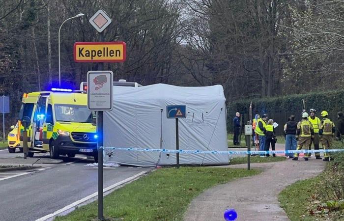 14-year-old girl died after collision with bus in Putte-Kapellen (Kapellen)