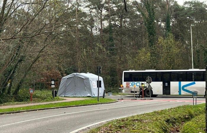 14-year-old girl died after collision with bus in Putte-Kapellen (Kapellen)