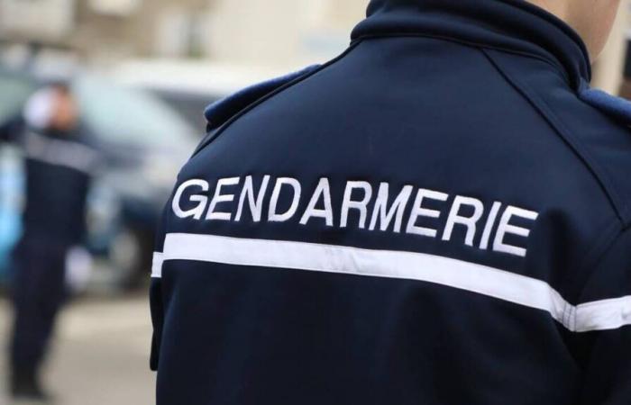 Death of a cyclist in Côtes-d’Armor: two drivers arrested