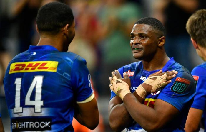 South African opponents of the RCT on the first day of the Champions Cup, but who are the Stormers?