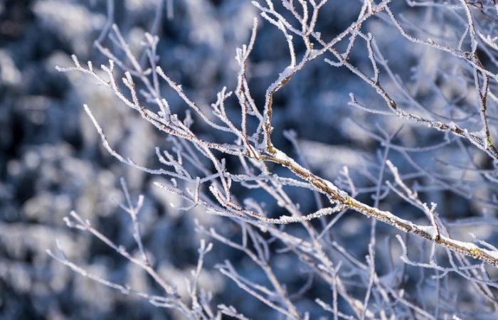 MAP. Weather: will snow appear in Aveyron, in double yellow vigilance this Saturday, December 7? Here are the forecasts