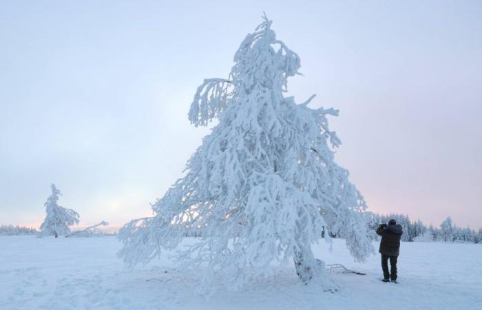 Weather: 50 centimeters of snow in NRW? Expert speaks plainly