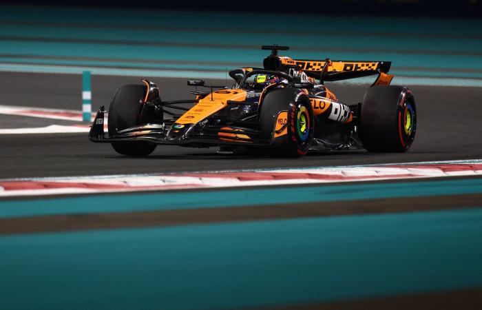 F1 2024 Abu Dhabi Grand Prix LIVE: Race start time, schedule and qualifying results as Norris grabs pole